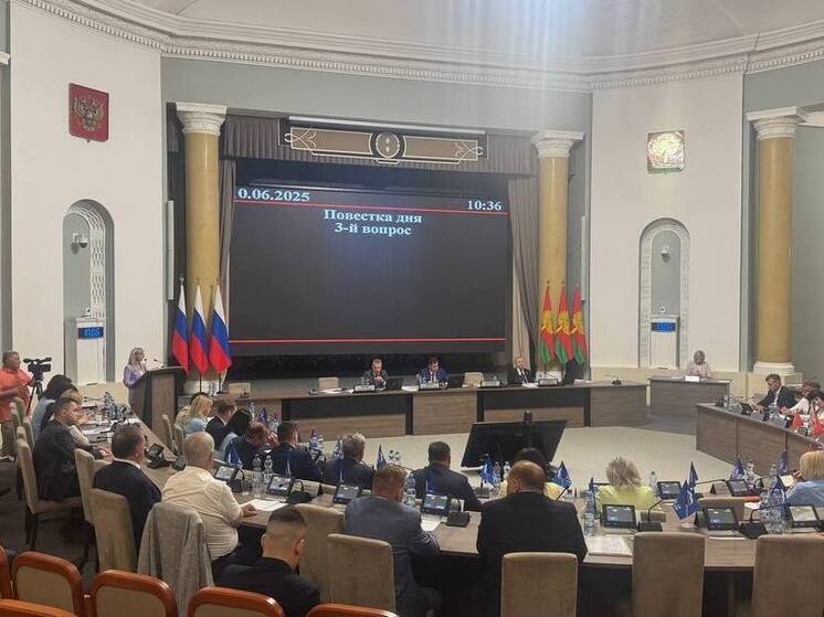 Липецкие депутаты внесли поправки в главный финансовый документ области