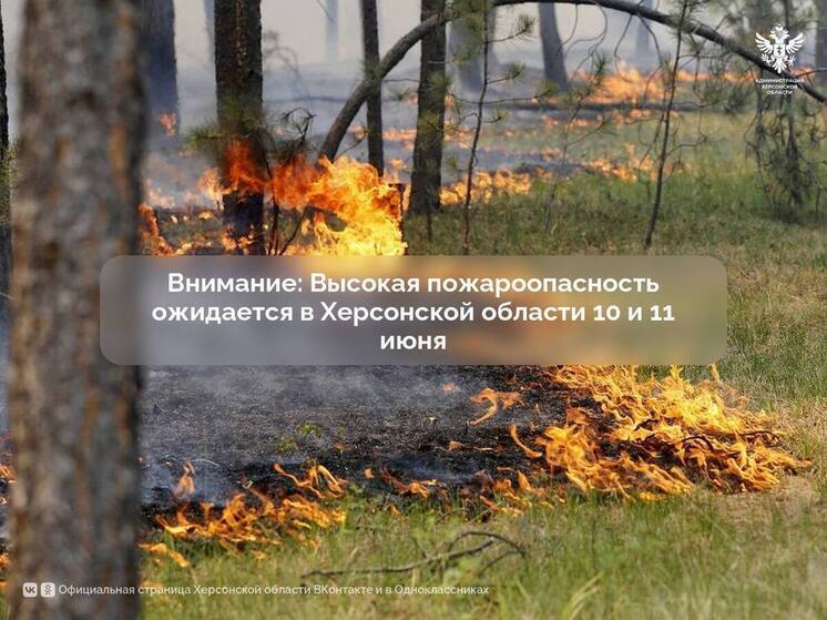 МЧС предупредило о высокой пожароопасности на Херсонщине 10 и 11 июня