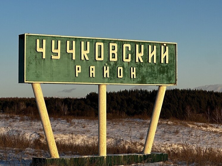 В Рязанской области охотники обезвредили нападавшего на овец волка