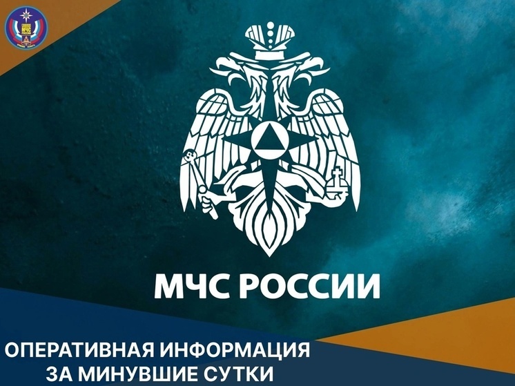 Один лесной пожар и восемь техногенных ликвидировано в Брянской области за сутки