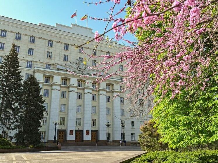 Голосование на выборах губернатора Ростовской области будет идти три дня