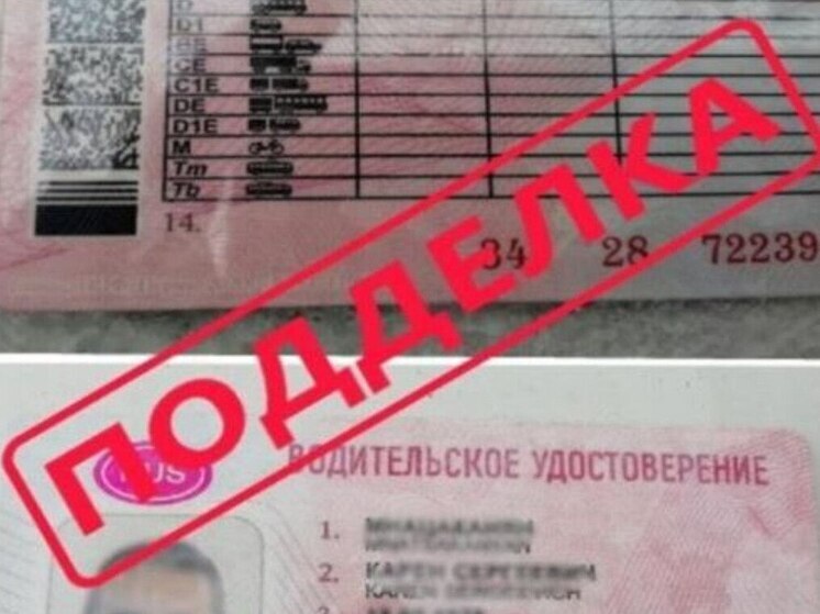 Афера с поддельным водительским удостоверением завершилась приговором для жителя Запорожья