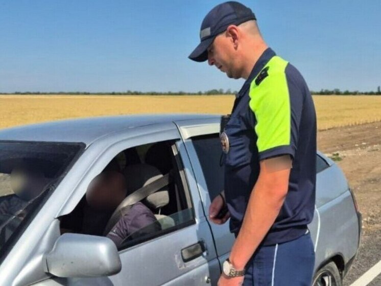 В Херсонской области автоинспекторы привлекли к ответственности 12 человек