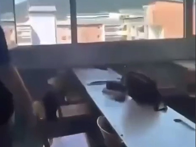 В Сети появились кадры стрельбы в школе города Грац в Австрии