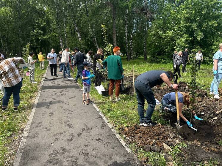 В Челябинске имена героев СВО увековечили в новой аллее