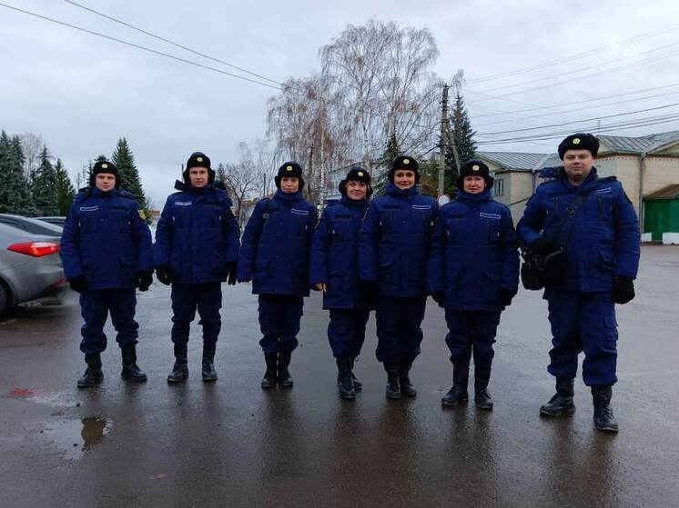 В Пензенской области назвали районы с самыми активными бойцами отрядов “Тигр”