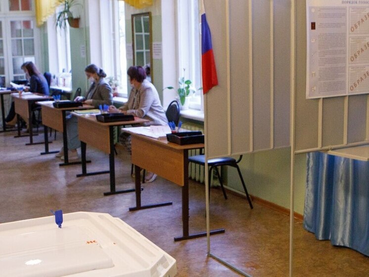 Голосование за кандидатов в депутаты Воронежской областной Думы состоится 14 сентября