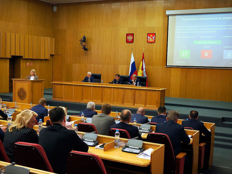 Депутаты Воронежа сохранили двухуровневое местное самоуправление