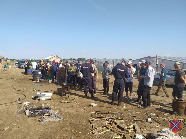 На полях Волгоградской области прошел рейд по контролю за трудовыми мигрантами