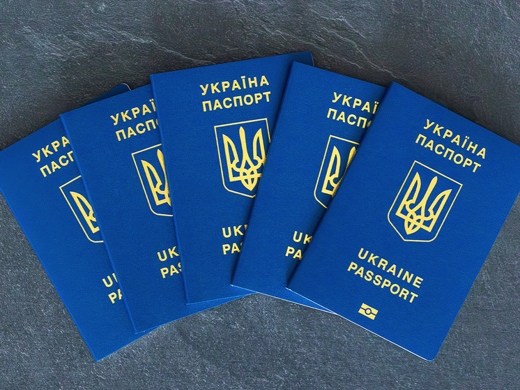 Предприниматель публично разорвал свой украинский паспорт в подмосковном центре временного содержания иностранцев