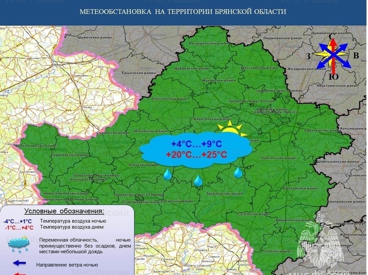 В Брянске 11 июня ожидается облачная погода