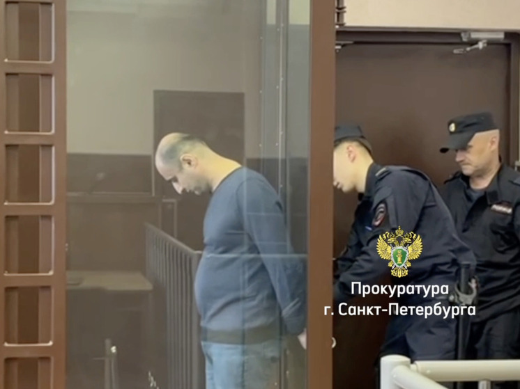 Убийца больше 30 раз вонзил нож в тело матери троих малышей в Петербурге