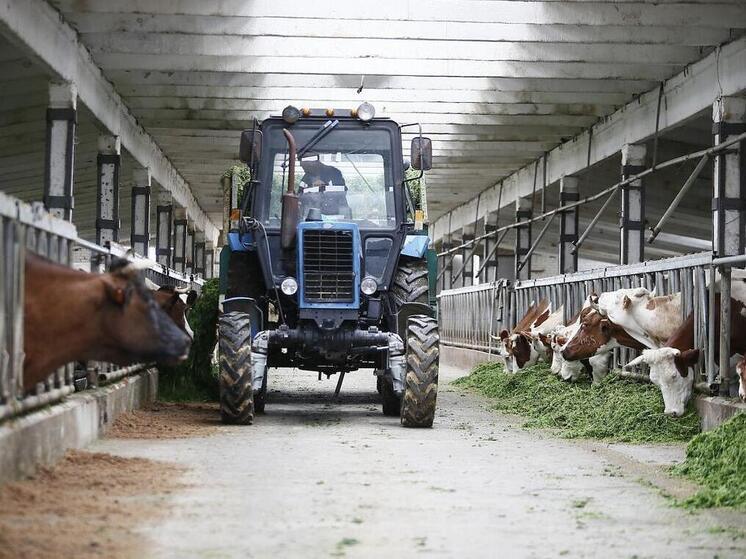 Успехи в сельском хозяйстве достигаются благодаря вниманию к отрасли со стороны региональной власти