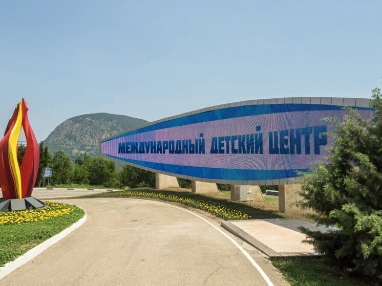Зеленский ввел санкции против «Артека»