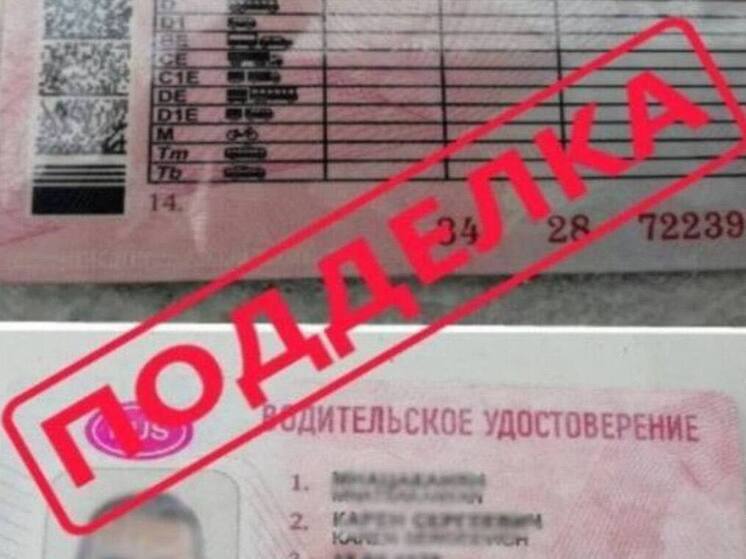 Житель региона осужден на полгода за покупку поддельного водительского удостоверения