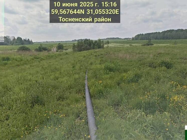 Предприятие в Тосненском районе проложило трубу для сброса неочищенных стоков в реку