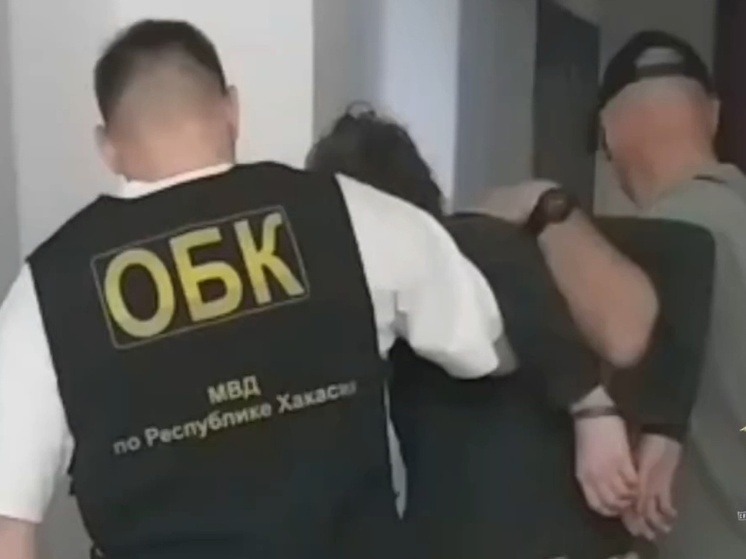 Жителя Хакасии задержали за распространение детской порнографии