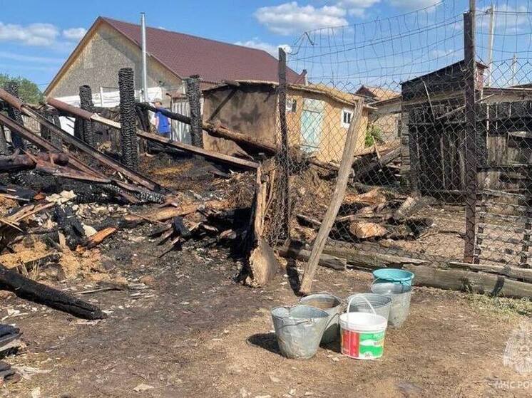 В Соль-Илецком МО в огне погибли коровы