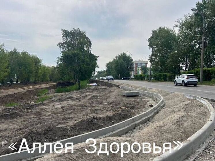 На общественных пространствах в Иркутске идёт демонтаж