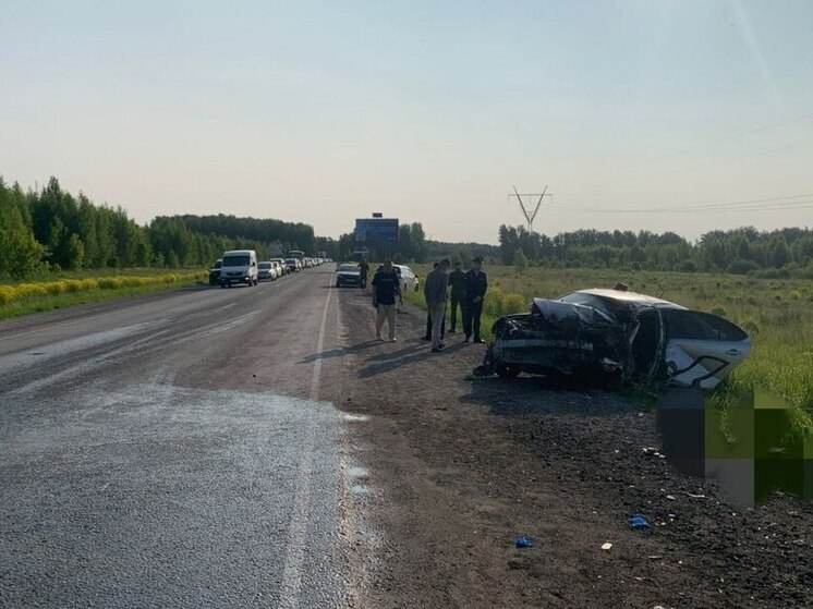 Трагедия на трассе: в Новосибирском районе произошло смертельное ДТП