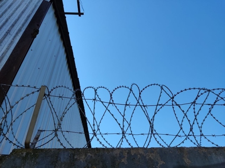 Житель Хакасии проведет 11 лет в колонии за попытку поджога трансформаторов