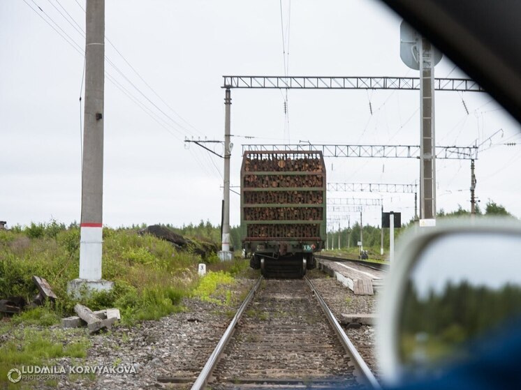 В Карелии возникла тревожная ситуация на железнодорожных путях