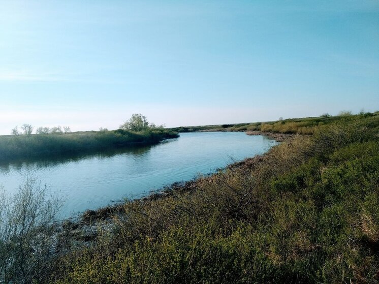 В Саратовской области сняли нерестовый запрет на рыбалку