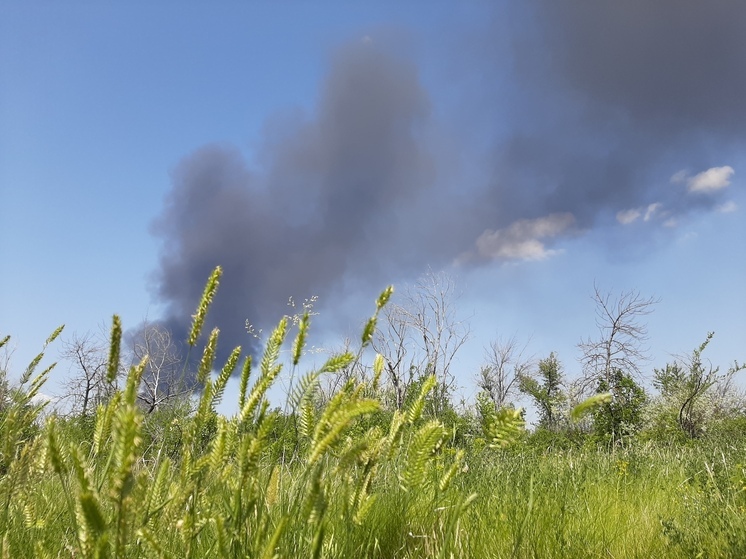 В Саратовской области 11 июня ожидаются кратковременные дожди