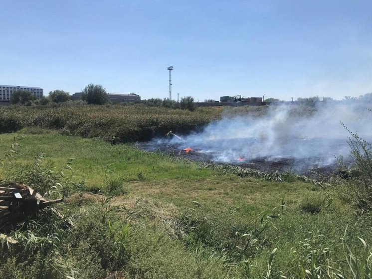 В Астраханской области из-за поджога произошел пожар в СНТ, охвативший 5 гектаров