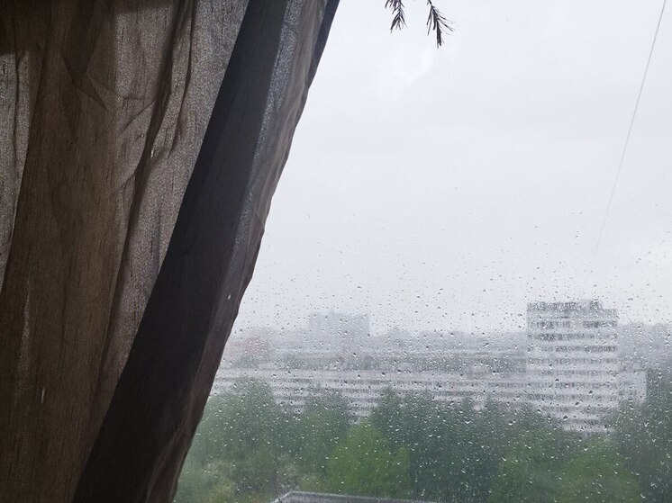 Циклонический вихрь принесет в Петербург плотные облака и небольшой дождь