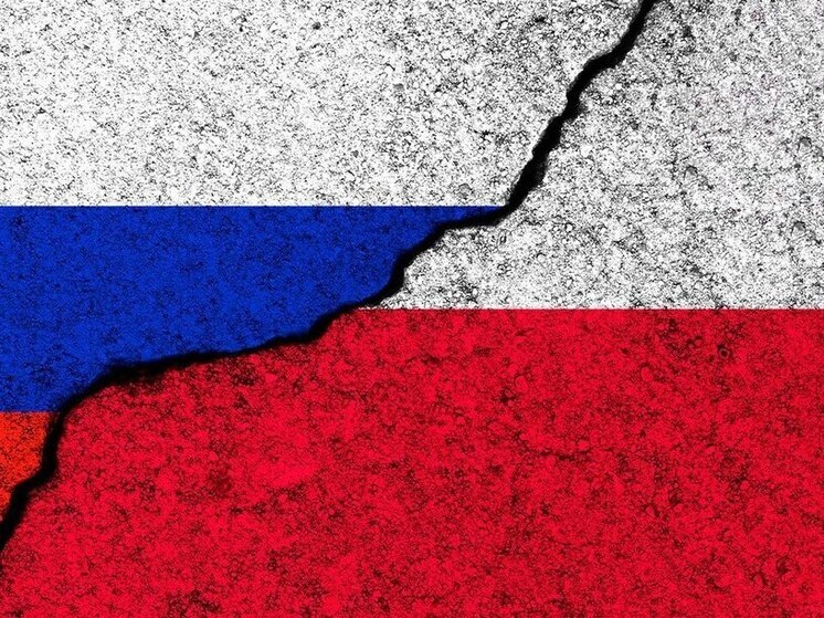 Сикорский: президент Навроцкий продолжит политику Польши по сдерживанию России