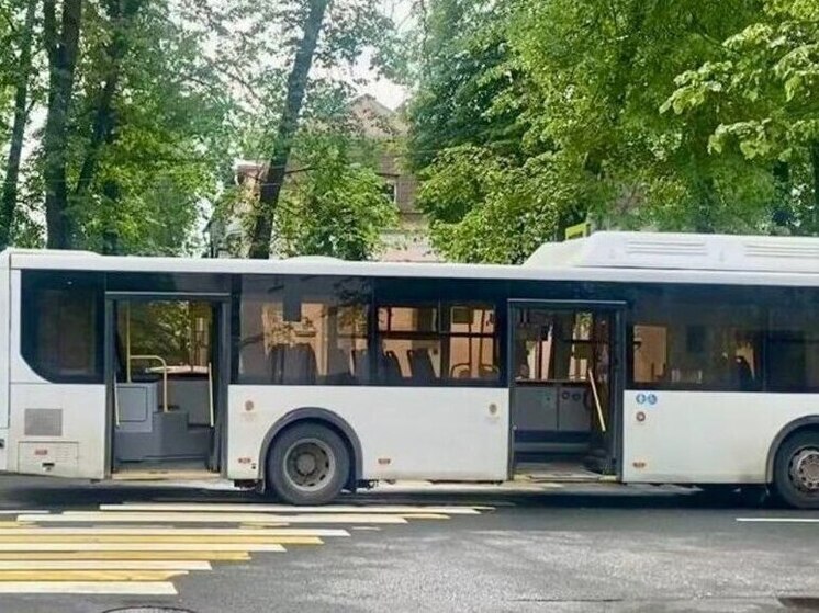 Пожилой мужчина угодил под автобус на Воскресенском бульваре