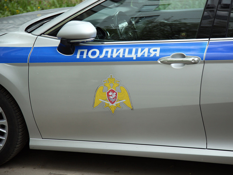 Задержали 8 подозреваемых, которые занимались незаконной миграцией в Подмосковье