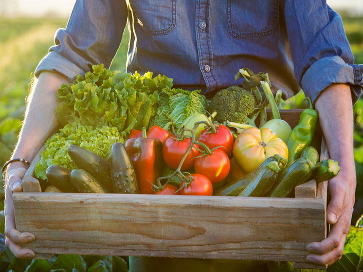 Как продукция фермерских хозяйств меняет продовольственный ландшафт Казахстана