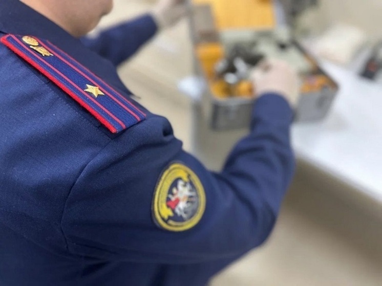 СК РФ взял на особый контроль дело о домогательствах к детям в Аксае