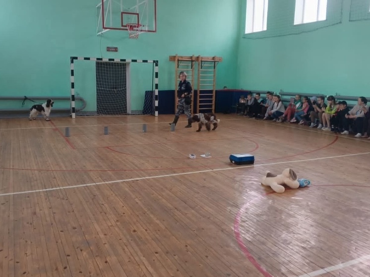 Кинологи напомнили школьникам правила безопасности в летнем лагере Опочки