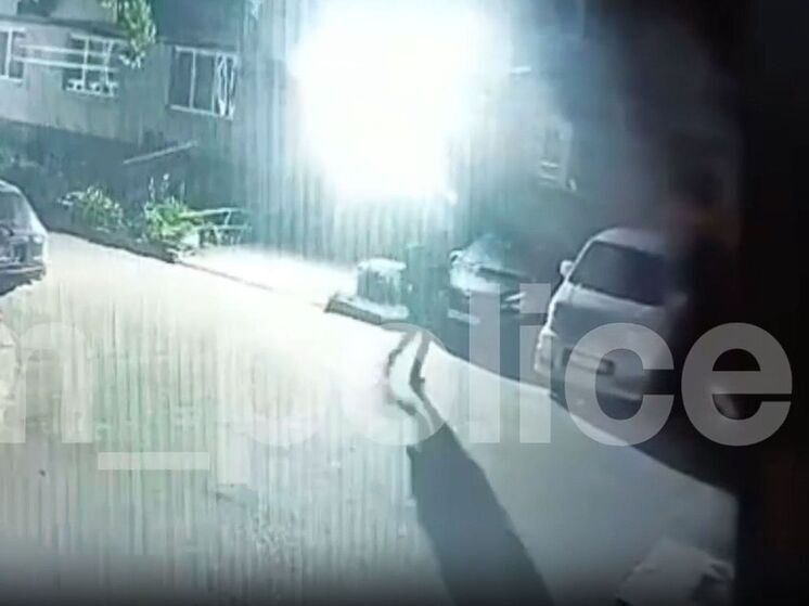 Полиция разыскивает злоумышленника, порезавшего шины автомобиля в Находке