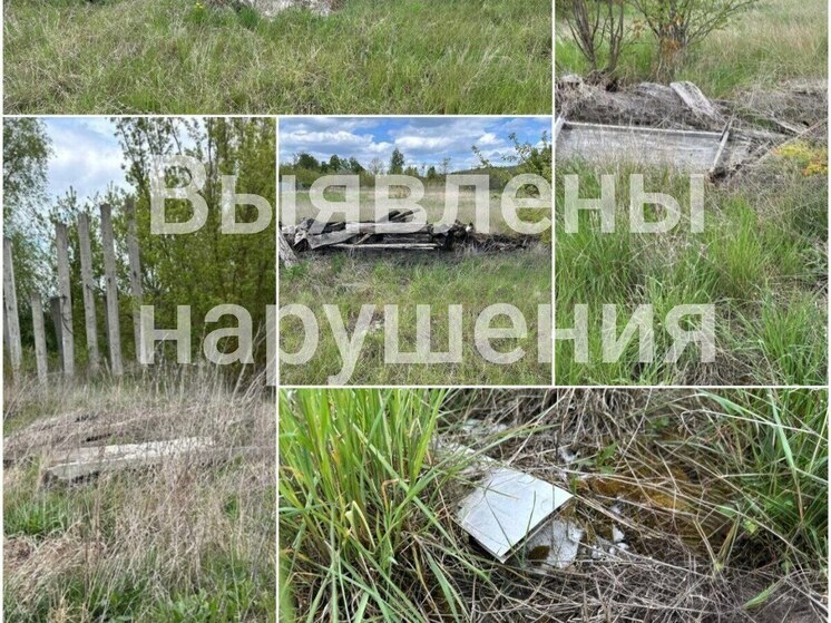 Прокуратура требует устранить мусорные свалки около лагеря «Ласточка»