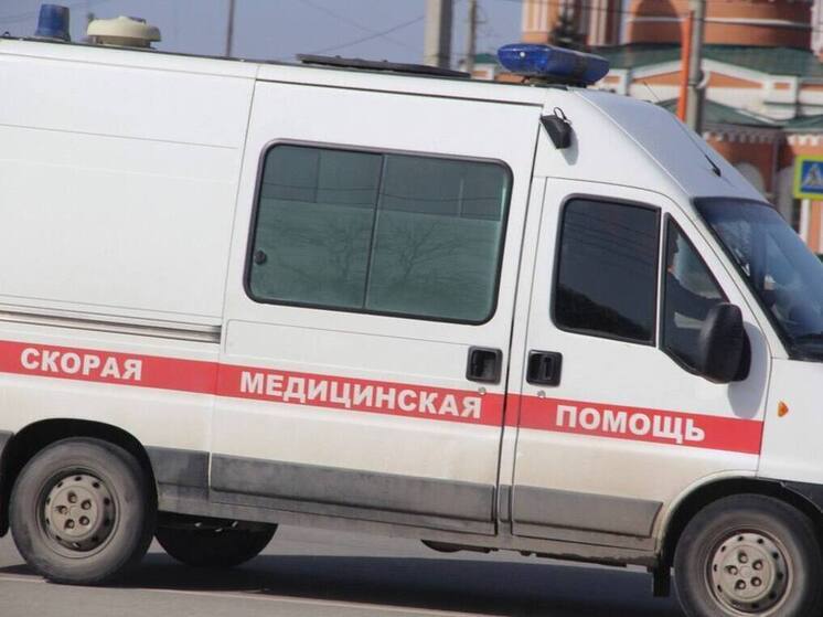 На Алтае отец и 4-летний ребенок попали в больницу после столкновения с ЛЭП