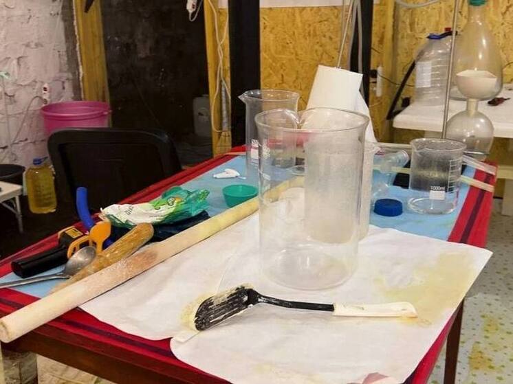 В Луганской Народной Республике сотрудники полиции задержали наркоторговцев