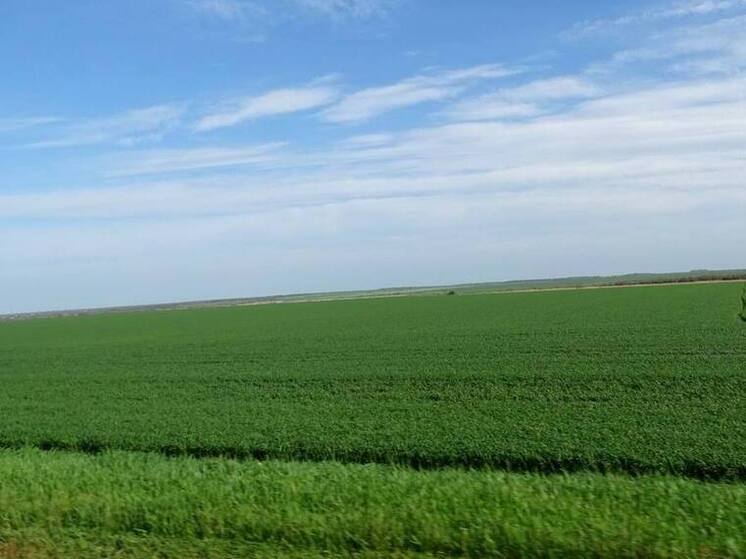 Аграрии Кабардино-Балкарии готовятся к уборочной кампании