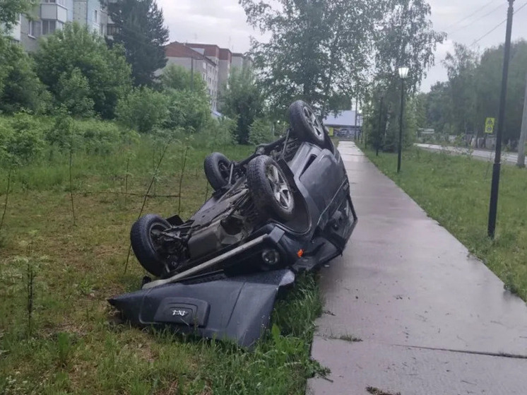 Под Томском «Нива» после наезда на собаку слетела в кювет и перевернулась