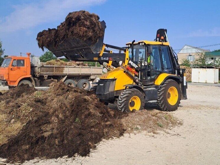 Камку с Генического городского пляжа убирает спецтехника