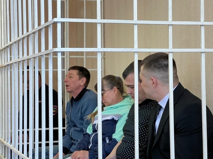 Мать похитила дочь из Новосибирска, чтобы лишить жилья