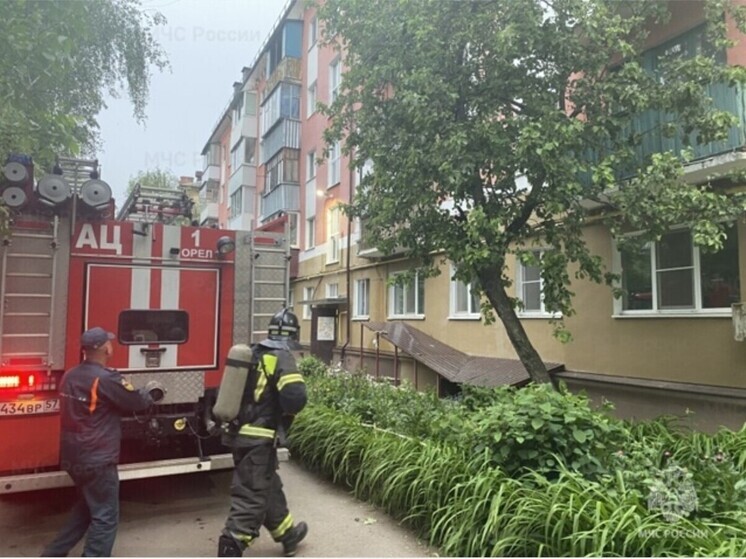 В Орловской области сотрудников МЧС вызвали из-за захлопнувшейся двери в квартире с работающей плитой