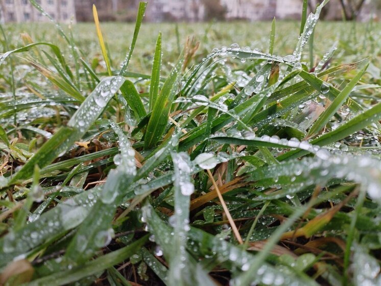 Хакасия окажется во власти непогоды