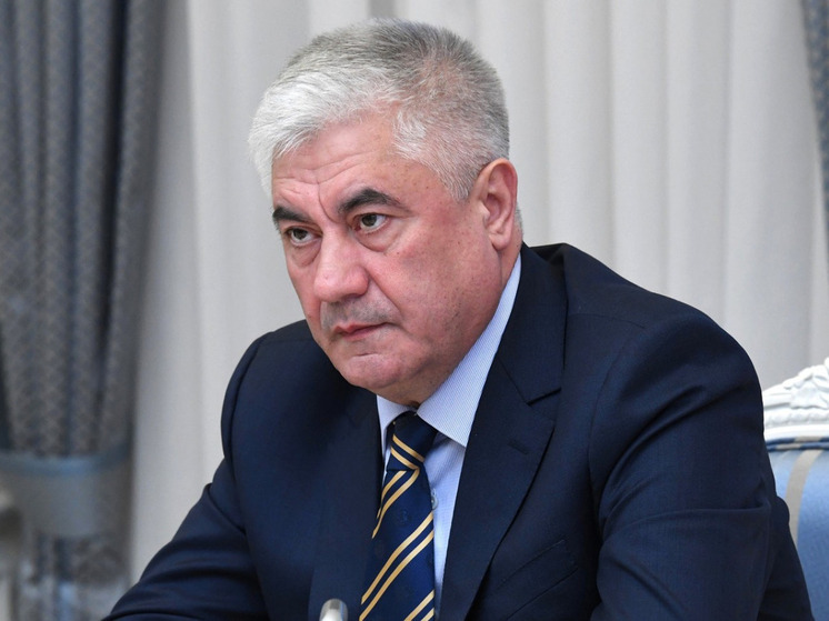 Колокольцев: безработные мигранты должны покинуть Россию