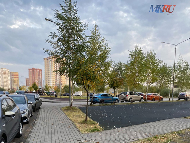 Калужанам объяснили, кто отвечает за деревья у дома