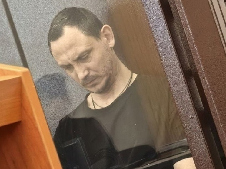 Жителя Новосибирска признали виновным в убийстве матери пятерых детей
