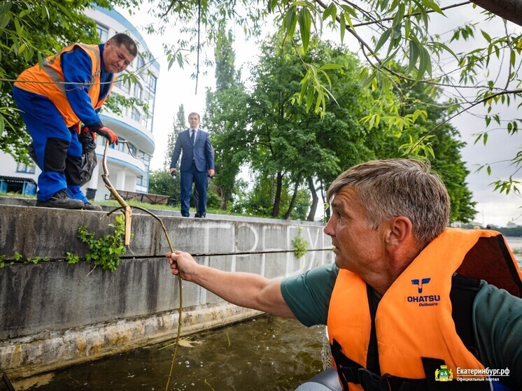 Прошла уборка на Городском пруду в Екатеринбурге